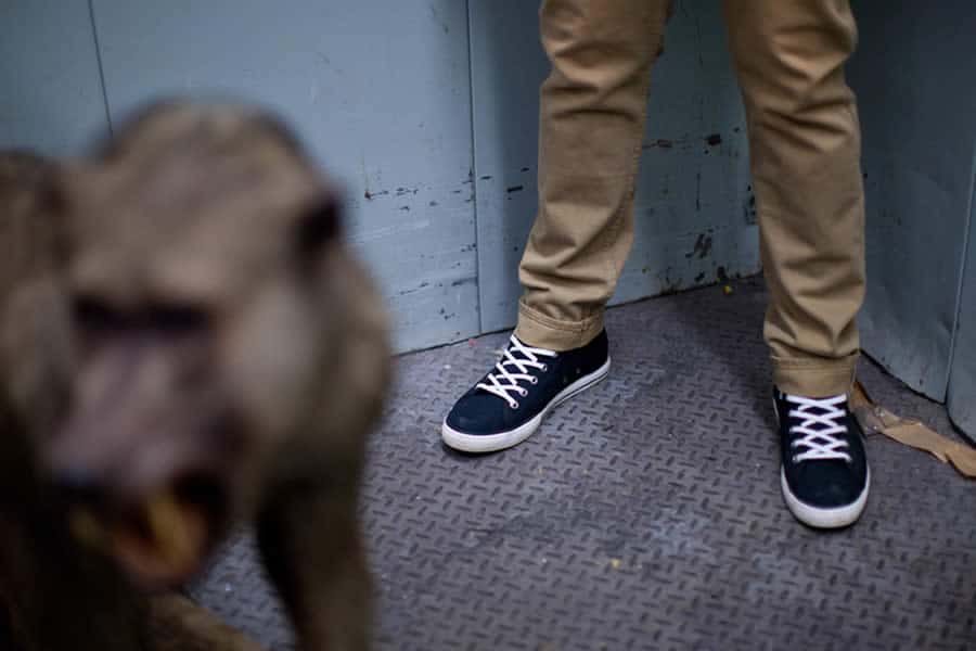 The Hundreds Autumn 2012 Men’s Lookbook - Image #5