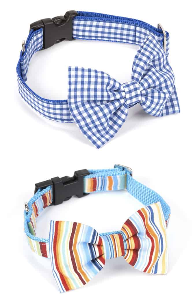 Mrs. Bowtie Dog Collar SS13 Collection