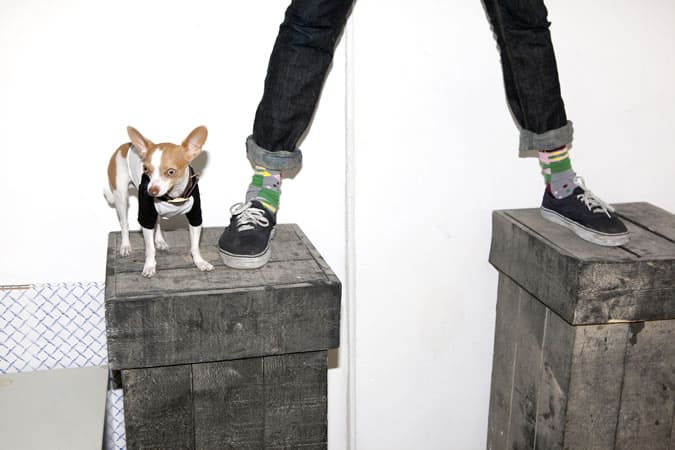 Happy Socks CHAPTER #SIX AW13