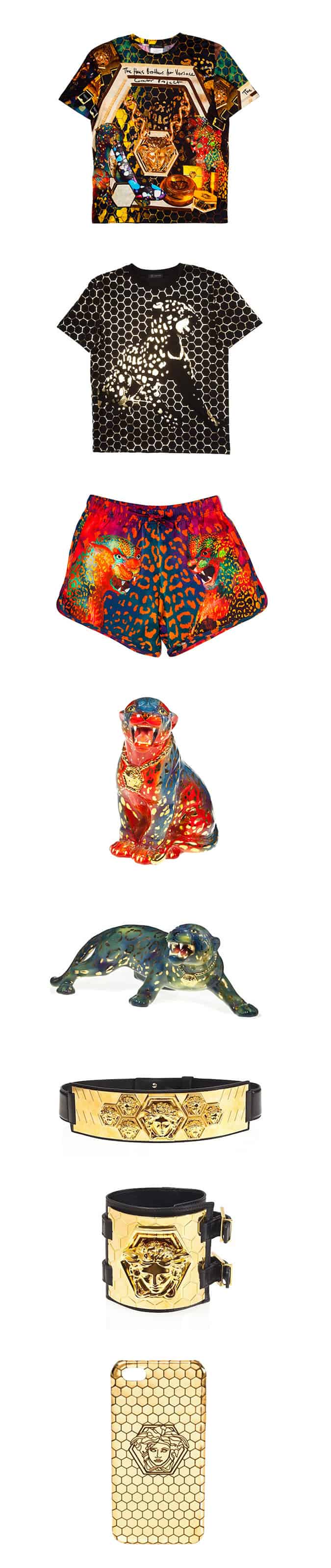 Haas Brothers x Versace Fall/Winter 2013 Collection