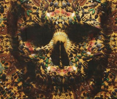 Alexander McQueen x Damien Hirst Scarves