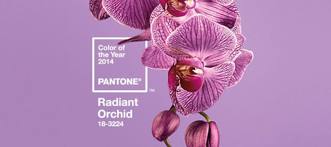 Pantone Colour of the Year 2014: Radiant Orchid
