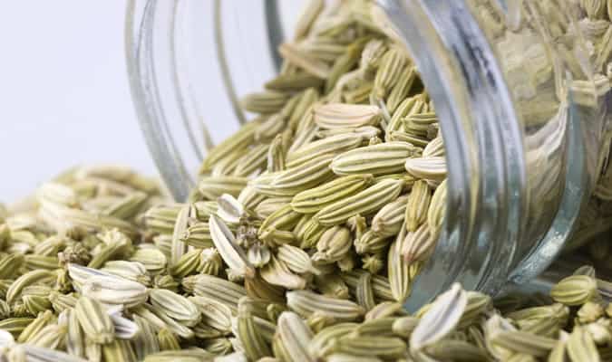 Fennel Seeds