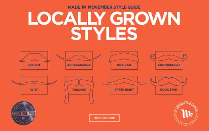 Moustache Styles From Movember.com