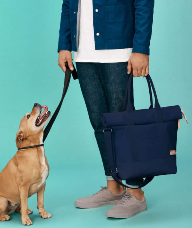 Whistles x Buddy collection