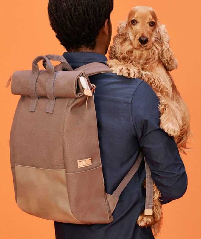 Whistles x Buddy collection