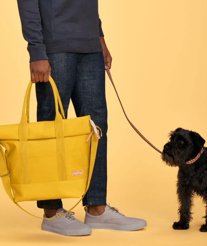 Whistles x Buddy collection