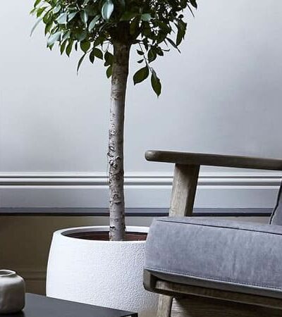 6 Rules For Making Your Home Look Better