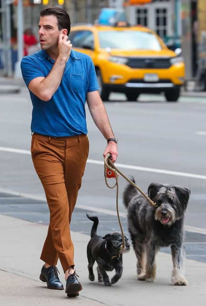 Zachary Quinto Cropped Trousers and Shirt Walking Dog Fashion And Style Outfits/Looks