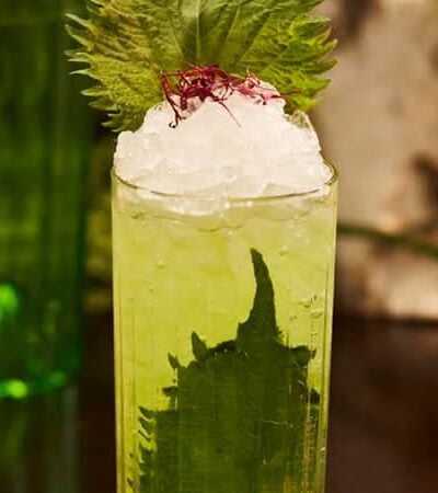 Cocktail Recipe: Shiso Leaves