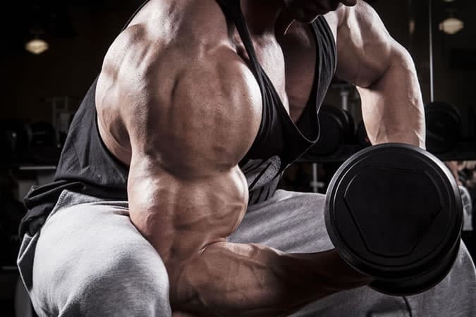 The Bigger Your Muscles, The Stronger You Are