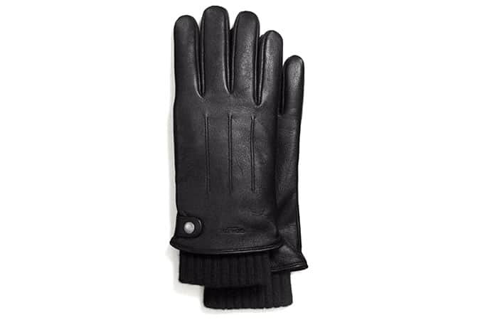 Coach Gloves