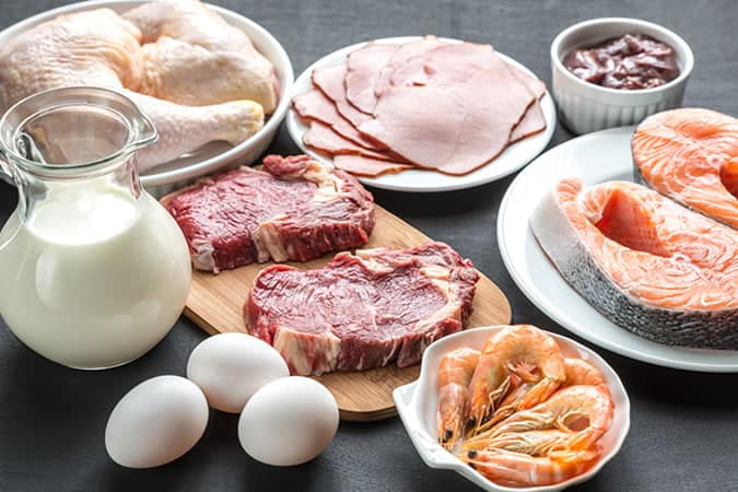 Protein