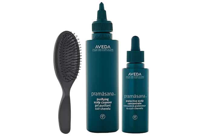 Aveda Pramasana Scalp Care Range
