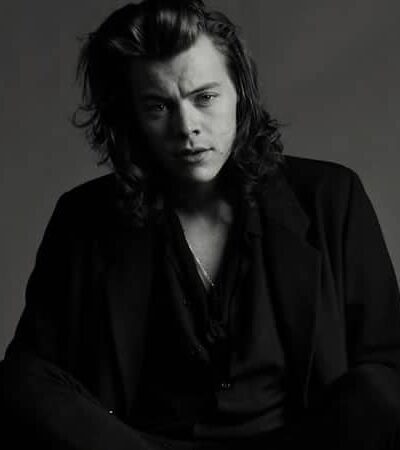 The Harry Styles Lookbook