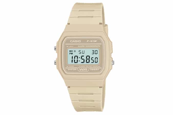 Casio Classic Watch