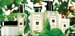 Neroli Fragrances: An Expert Guide