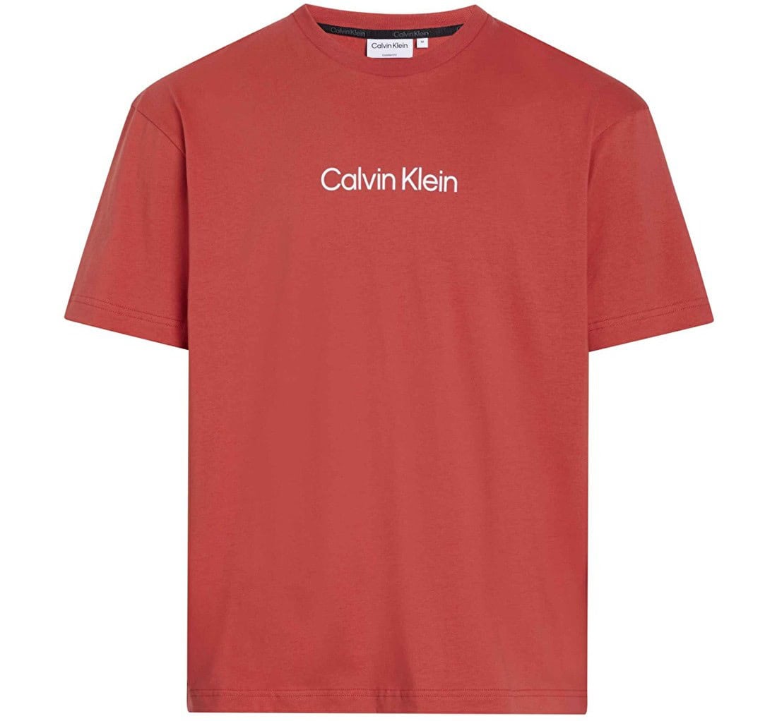 Calvin Klein Men's Relaxed Fit CK Logo Crewneck T-Shirt