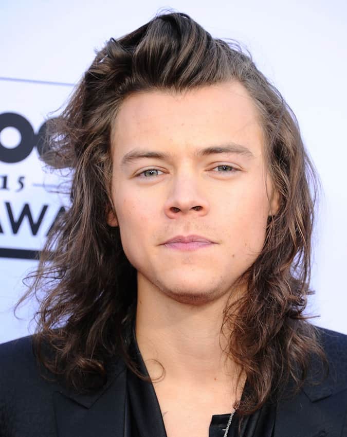 Harry Styles Long Hairstyle