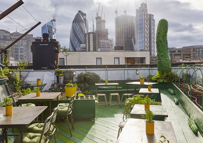 Culpeper Roof Garden