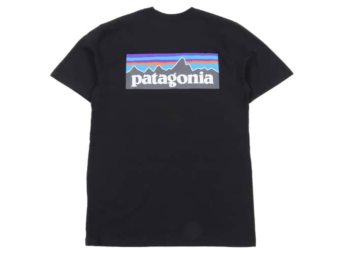 Patagonia P-6 Logo Responsibili-Tee Shirt