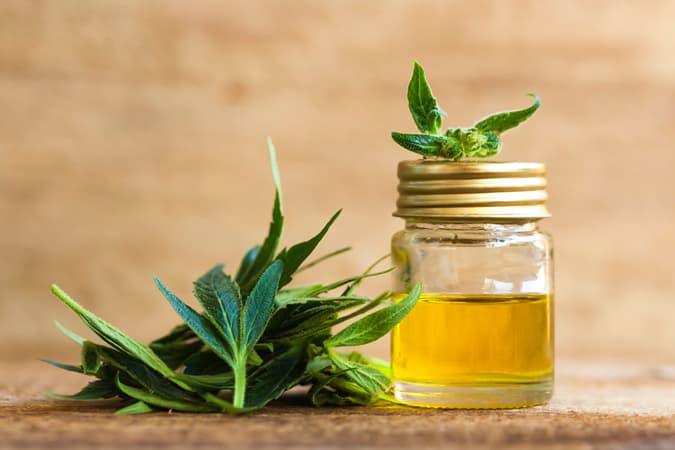 CBD Oil