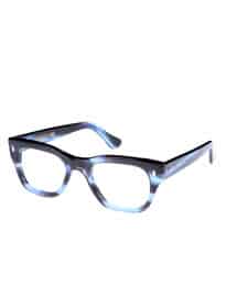 0772 Blue Turtle