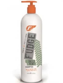 Fudge Daily Mint Shampoo