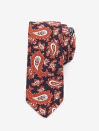 Ted Baker Tutie Paisley Print Tie