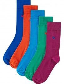 Burton 5 Pack Bright Bird Socks