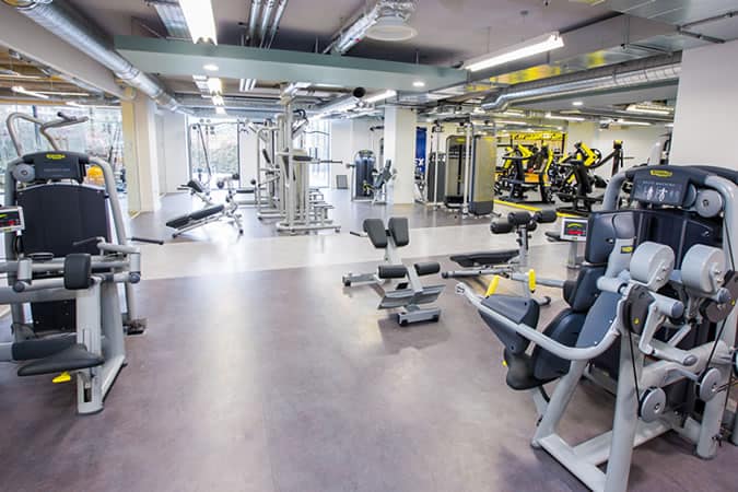 Alex Fitness