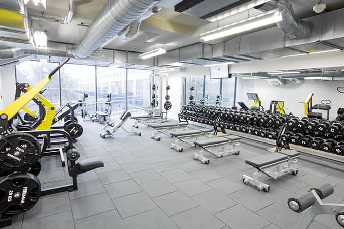 Alex Fitness