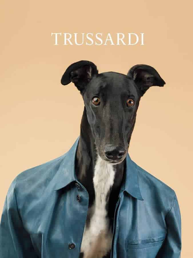 Trussardi