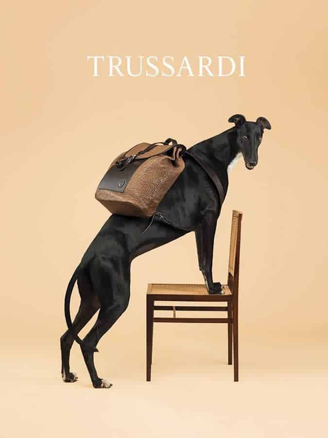 Trussardi