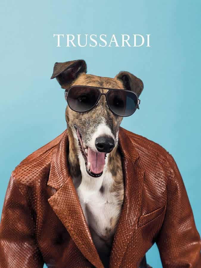 Trussardi