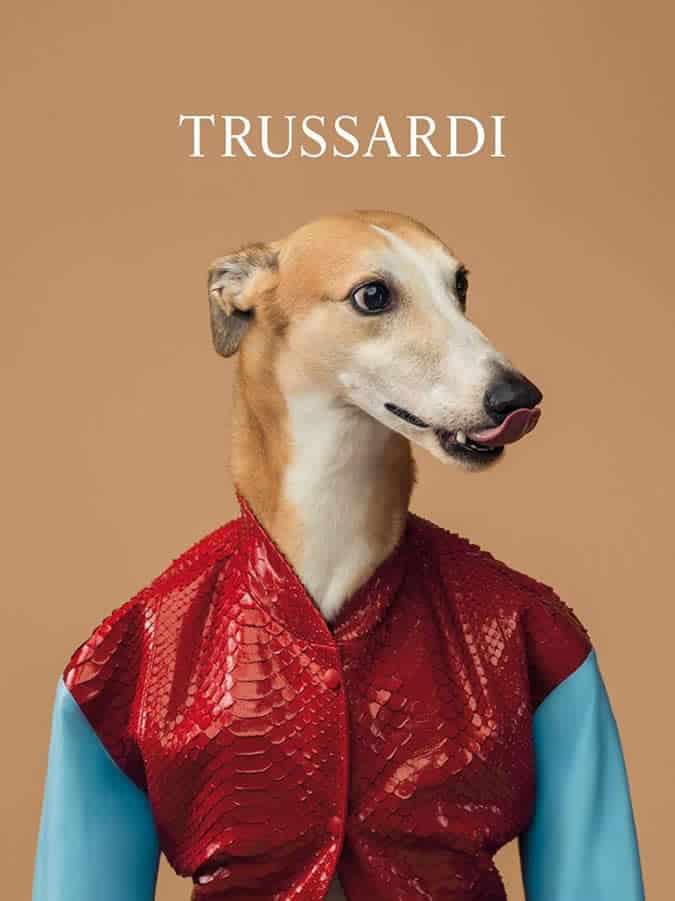 Trussardi