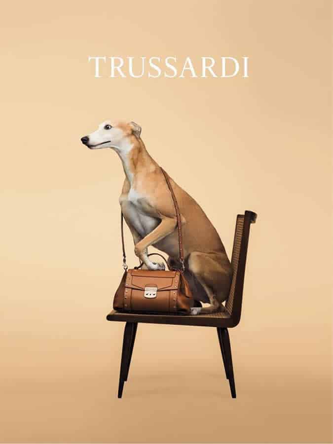 Trussardi
