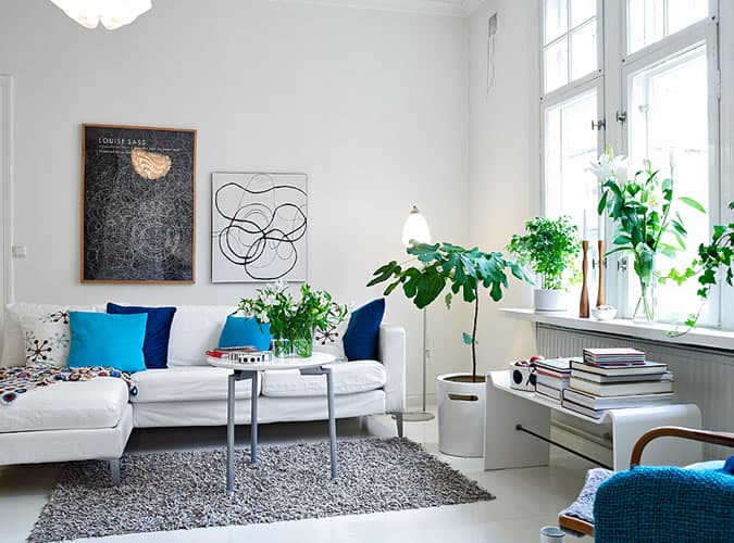 Add house plants to rooms to bring them to life
