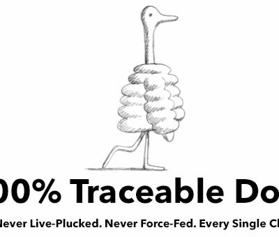 Patagonia Introduces Traceable Down
