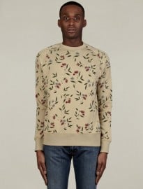 Penfield