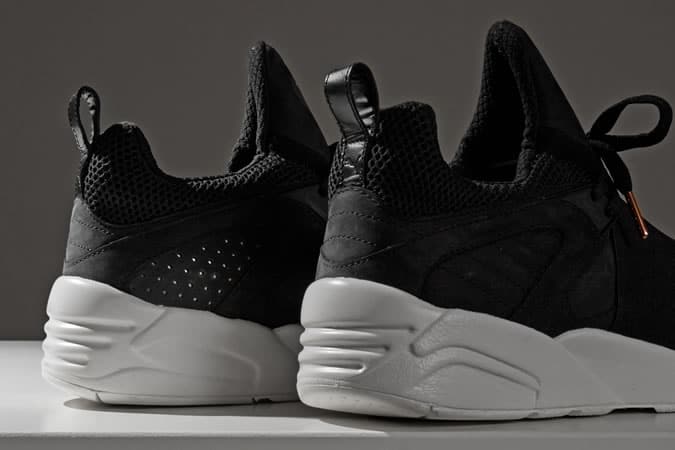 pumafilling5