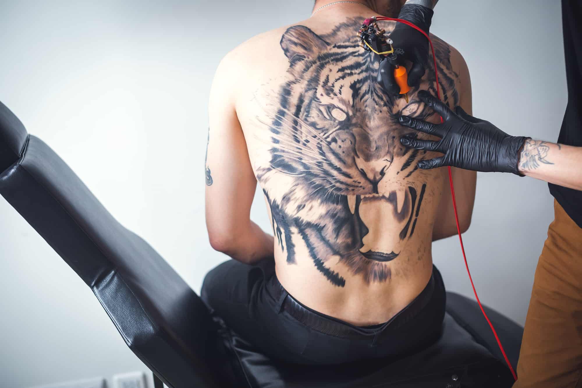 Tattoo of New School Tigers Chest