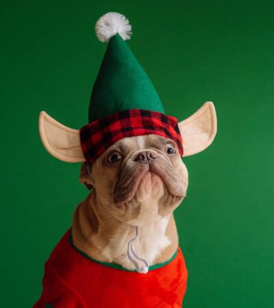 50 Funny Christmas Gifts For Everyone on Your List
