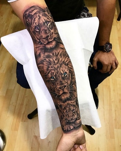 Tiger and Lion Tattoo