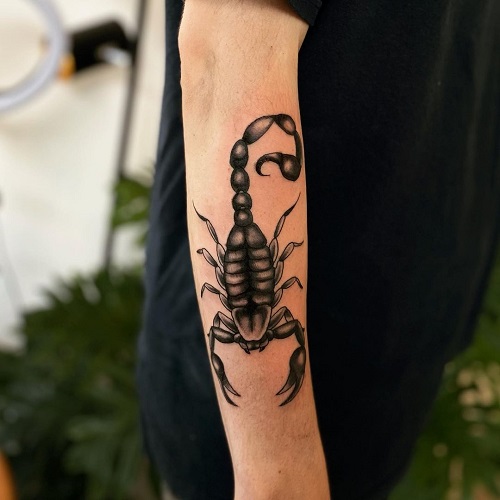 Scorpion Forearm Tattoo