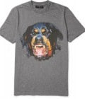 Clothing Image