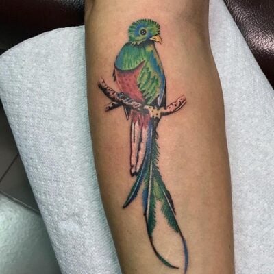 30 Of The Best Bird Tattoo Ideas For Men in 2026 | FashionBeans