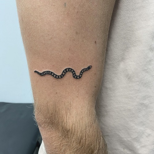 Tatuagem de cobra simples