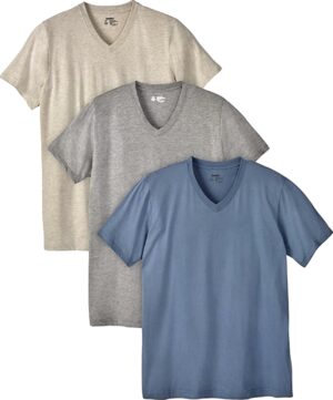 22 Best V-Neck T-Shirts For Men In 2026 | FashionBeans