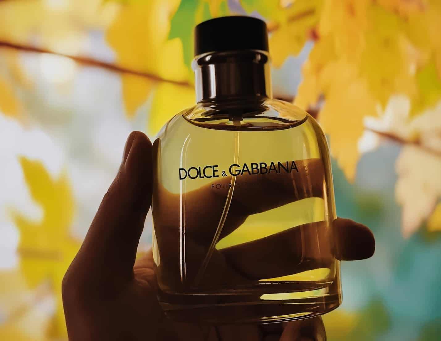 8 Best Dolce and Gabbana Colognes and Perfume For Men 2023 | FashionBeans